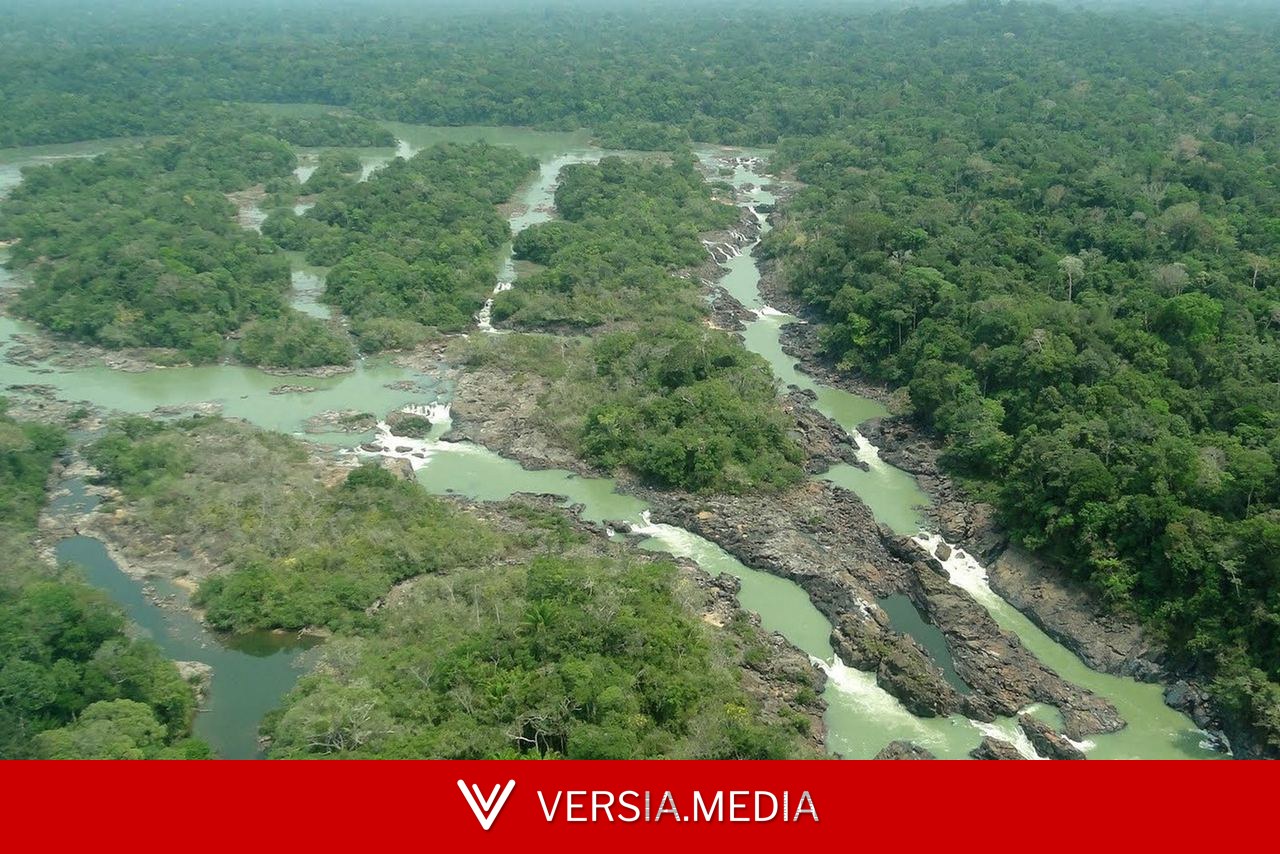 Senado aprova proposta que reduz em quase 40% de floresta no Pará e dificulta multas ambientais