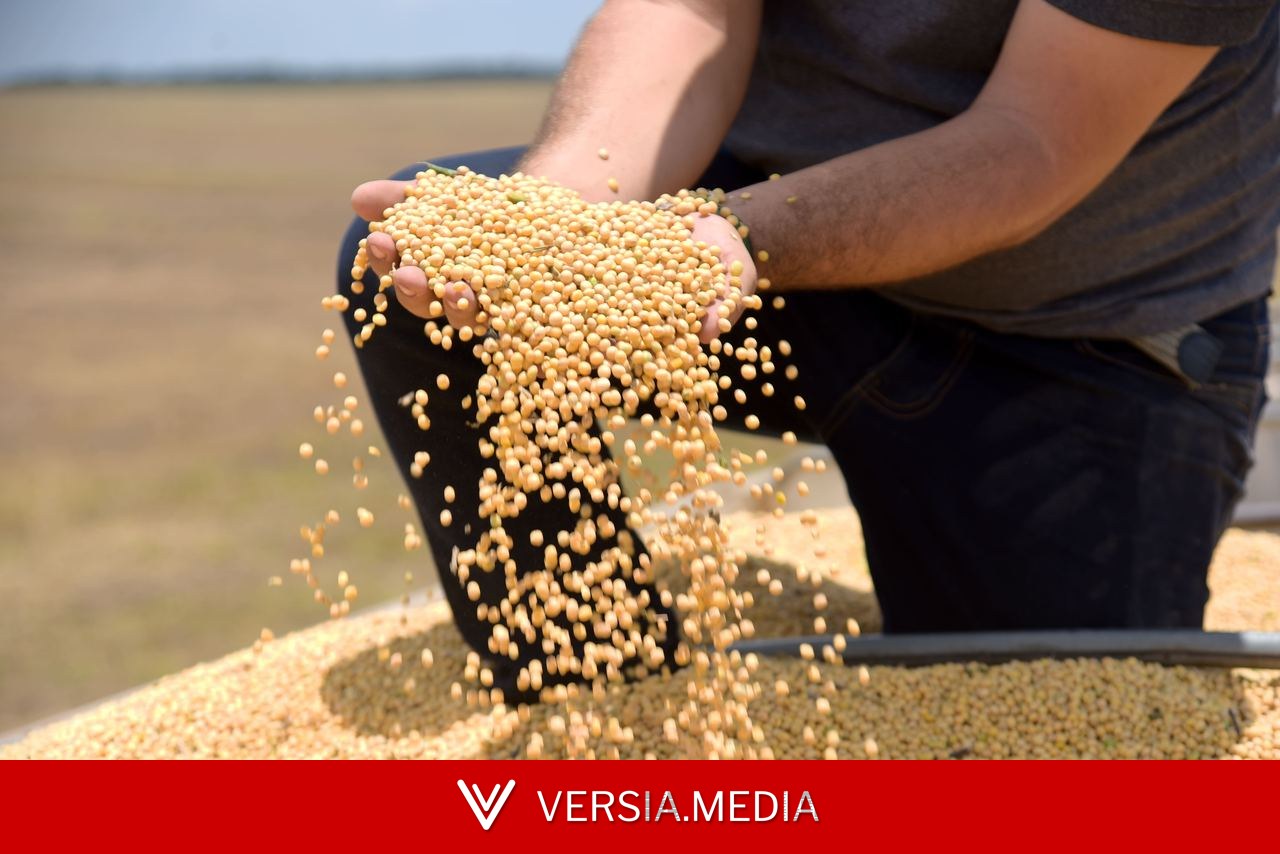 Tarifaço deve atingir 36,5% das exportações do agro para os EUA, diz CNA