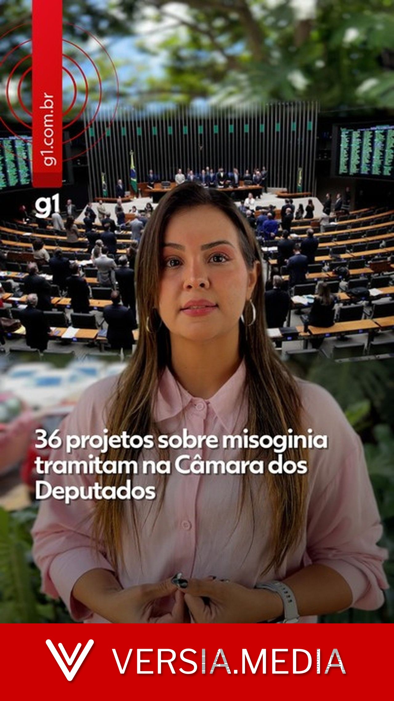 Câmara pode votar nesta terça PL da Misoginia, que equipara crime ao racismo e prevê penas maiores; entenda